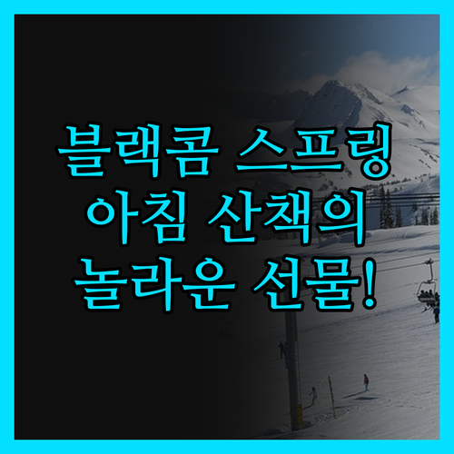 블랙콤 스프링 스위트, 아침 산책이 
