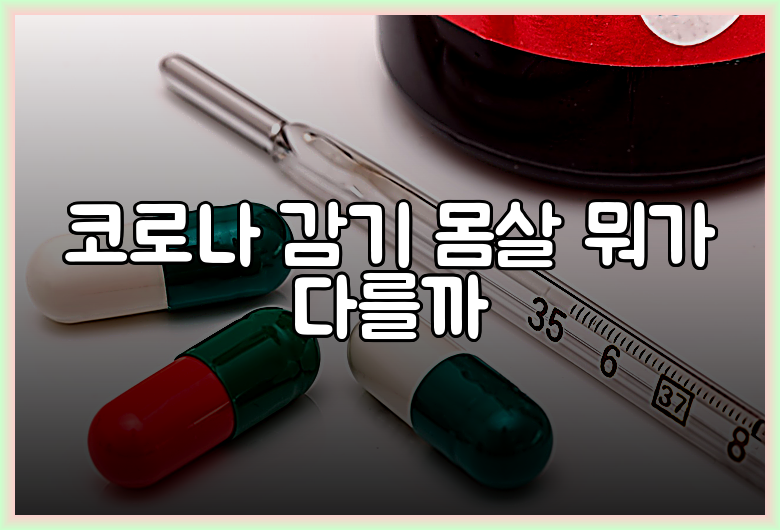 코로나 감기 몸살 뭐가 다를까