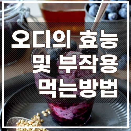 오디의효능 및 부작용 섬네일