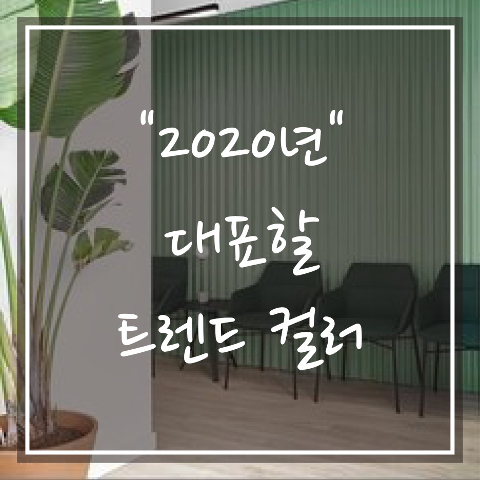  2020년 대표 트렌드 컬러