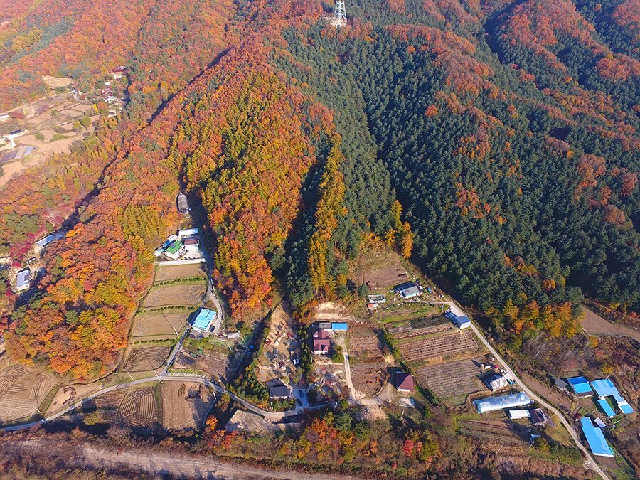 캠핑장 전경 1
