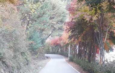 중미산 자연휴양림 예약 방법 총정리! 서울 근교 자연 속 힐링여행