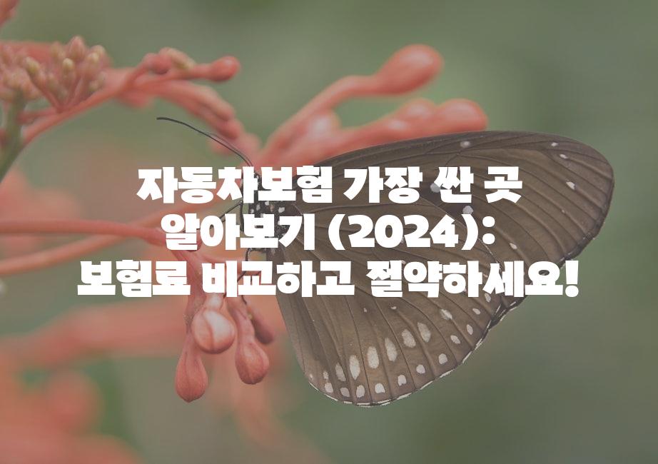 샘플 (51)