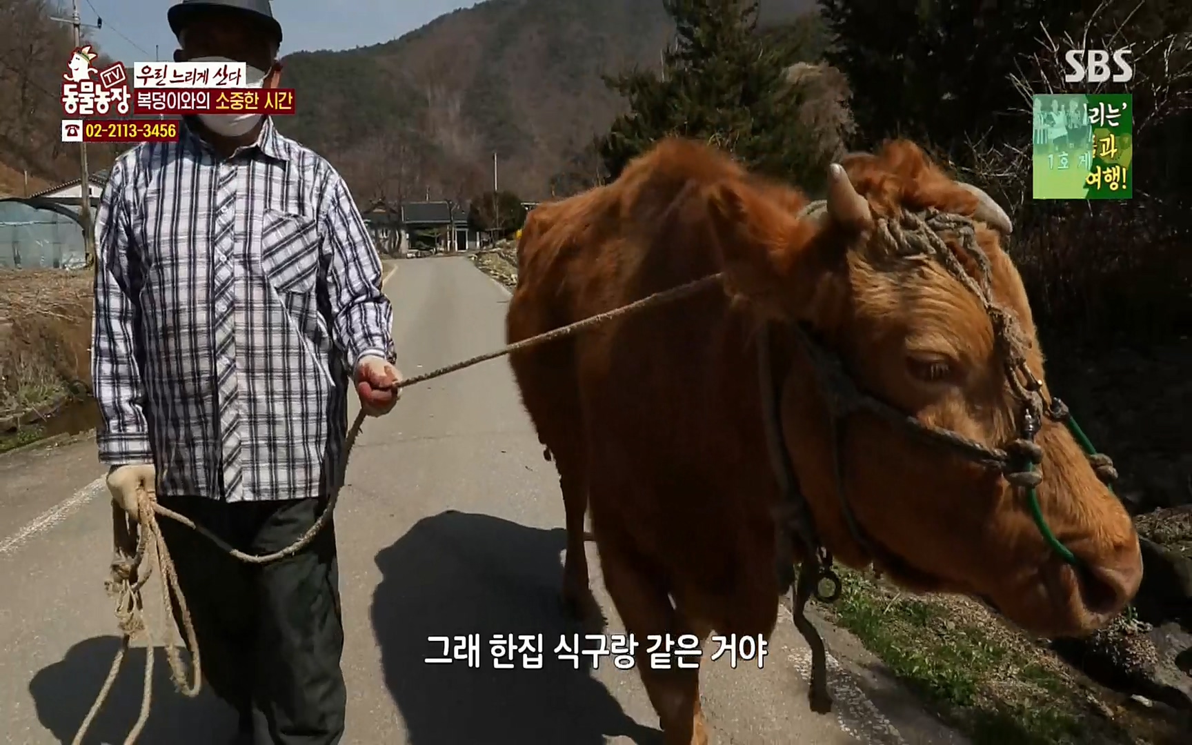 TV 동물농장.E1067.220501p.H264-F1RST.mp4_20220501_184242.718.jpg