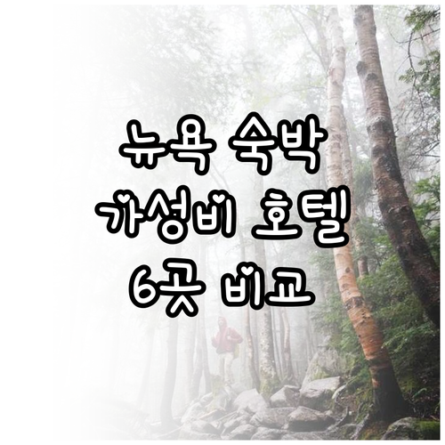 뉴욕 숙박 고민 끝 가성비 호텔 6곳
