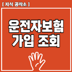 운전자보험 가입여부 조회 및 확인 방법