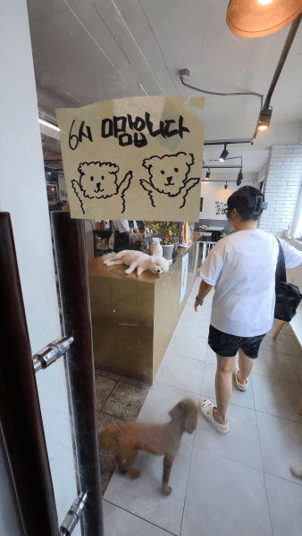 카페몽 이미지