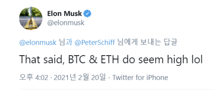  일론 머스크 비트코인