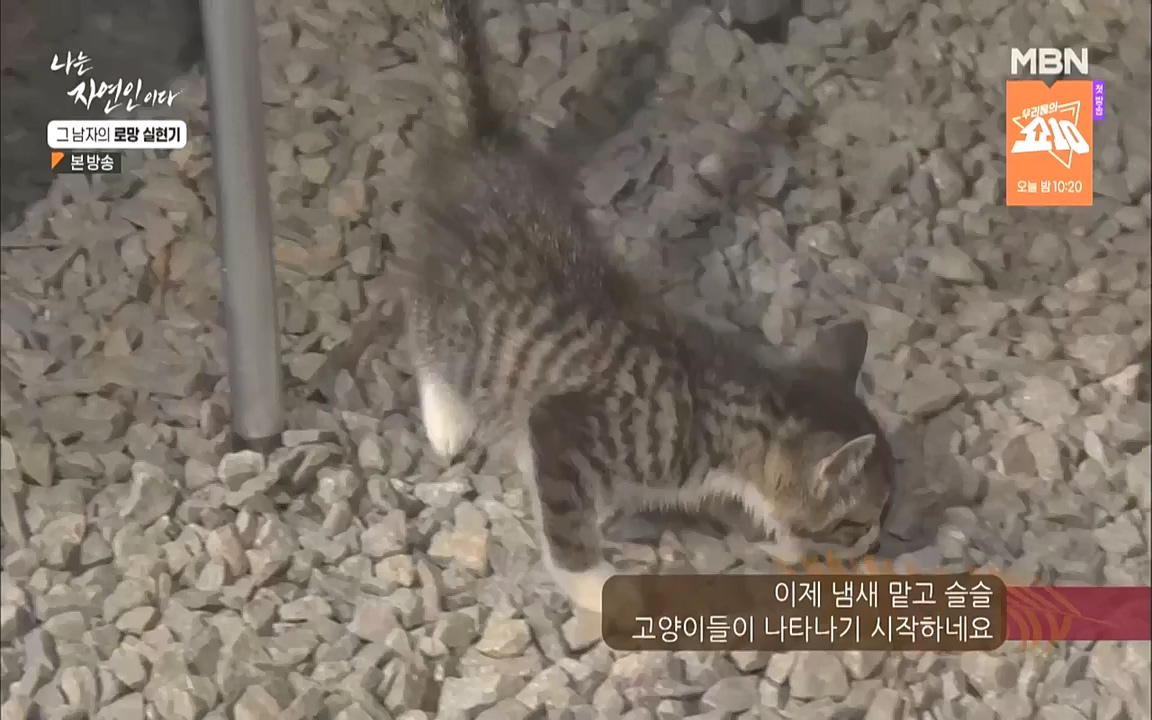 나는 자연인이다.E522.221006p-NICE.mp4_20221006_204523.998.jpg