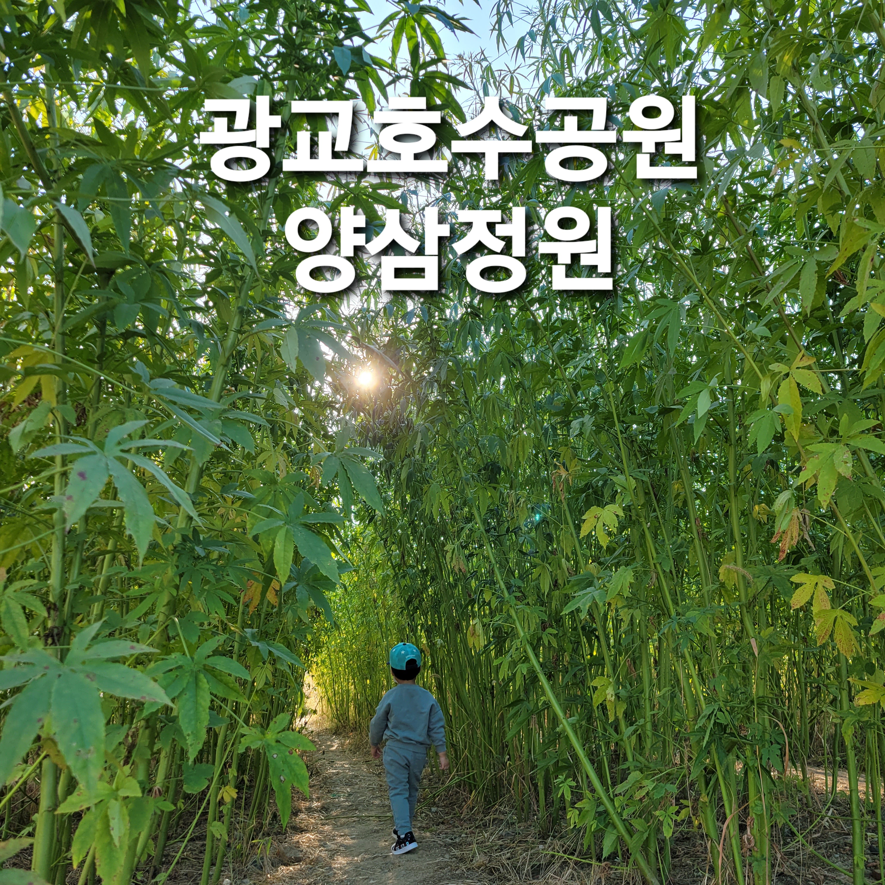  광교호수공원(양삼정원) 신대호수공원 산책로 다녀왔어요