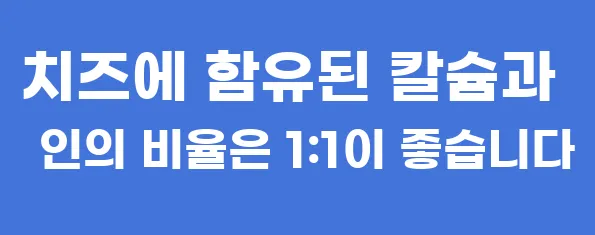 치즈에 함유된 칼슘과 인의 비율은 1:1이 좋습니다