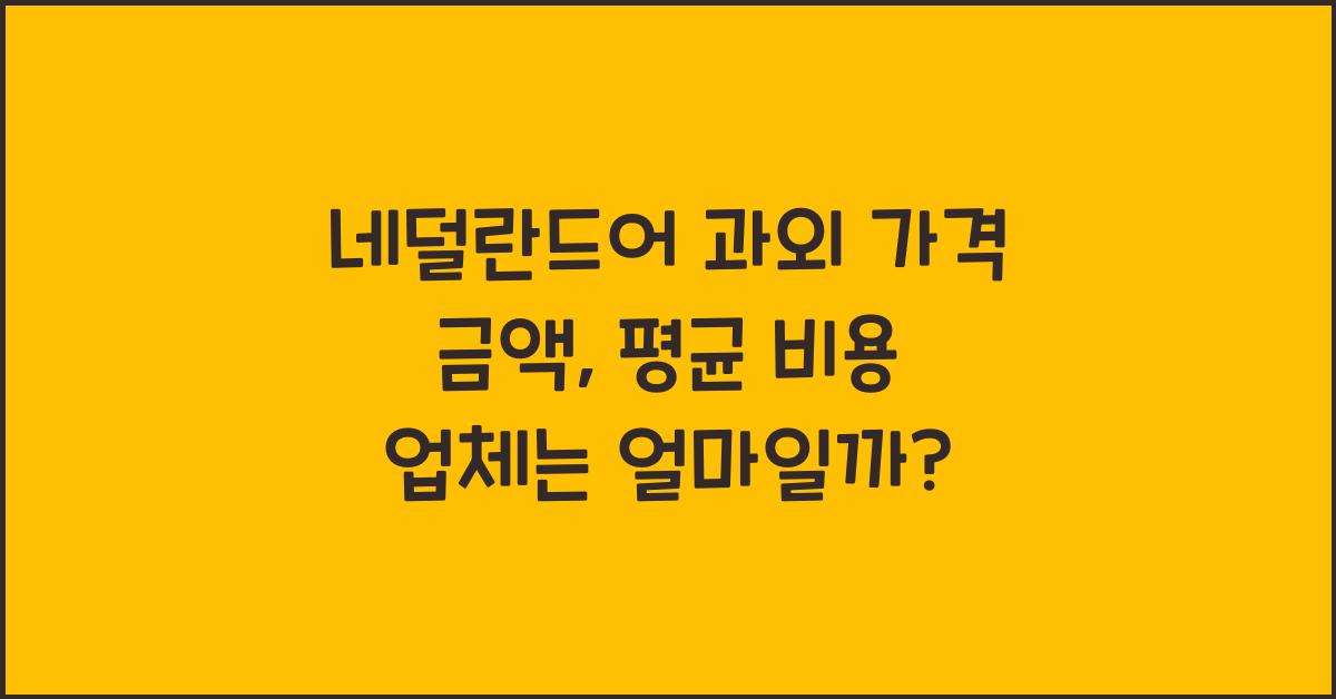 네덜란드어 과외 가격 금액 업체 평균 비용