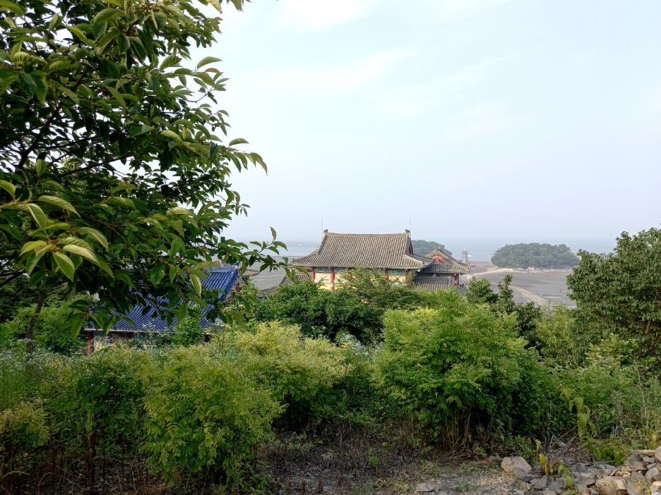 img.jpg