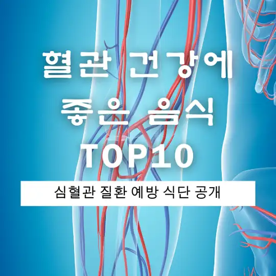 혈관 건강에 좋은 음식 TOP10