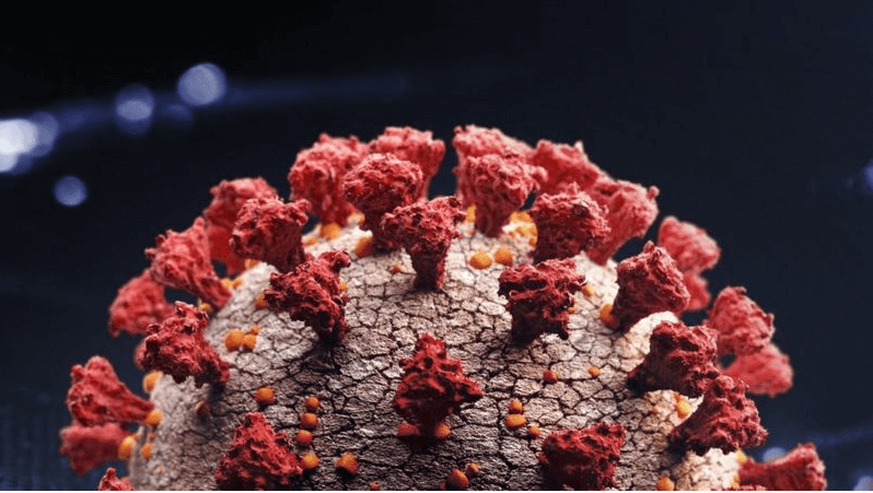 스파이크 단백질이 보이는 오미크론 바이러스 사진