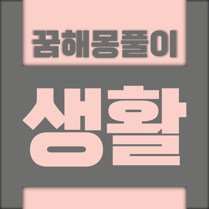  [꿈해몽풀이] 생활 꿈해몽 모음