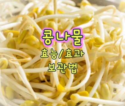 콩나물-효능-효과