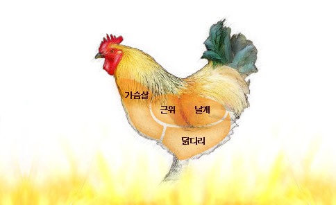 닭고기 부위별명칭 용도 및 특징