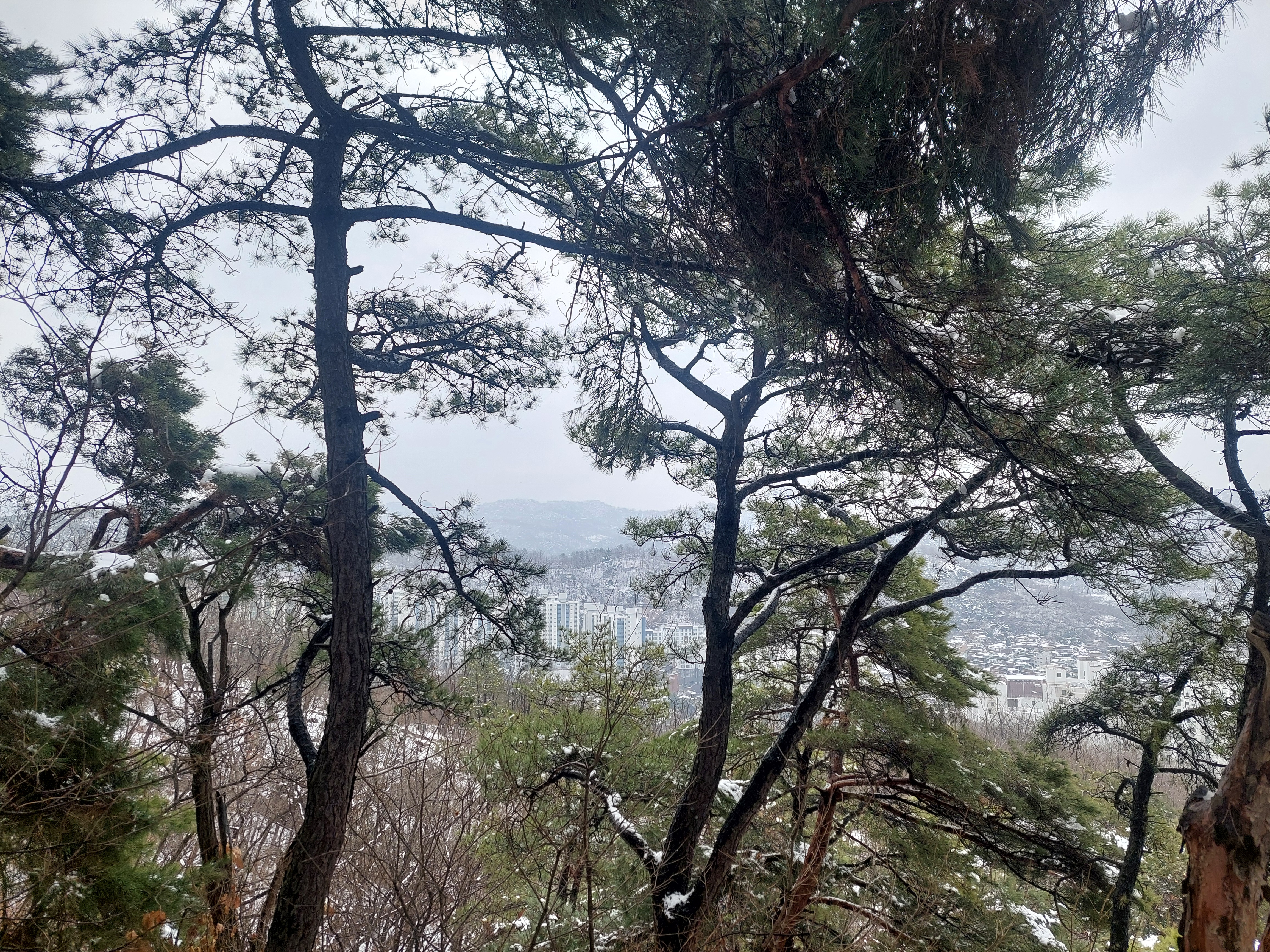 북한산 자락길
