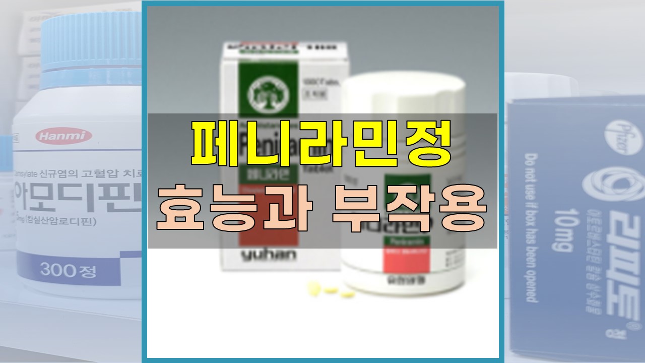 페니라민정 2mg