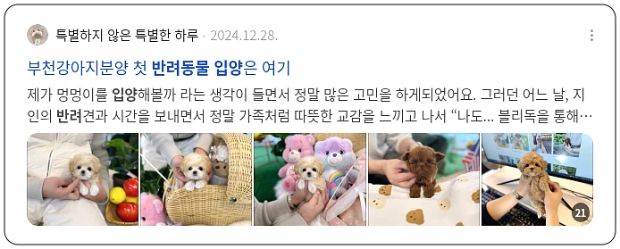 반려동물 입양_3_subsection