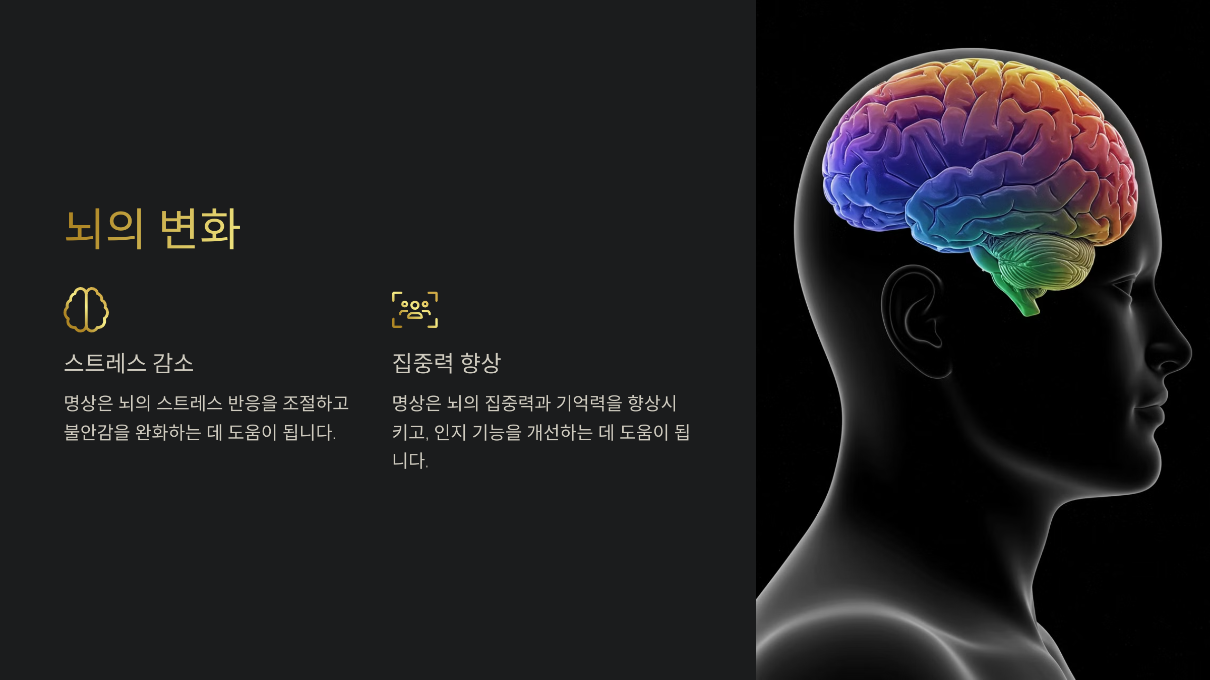 뇌와 스트레스 반응의 조절