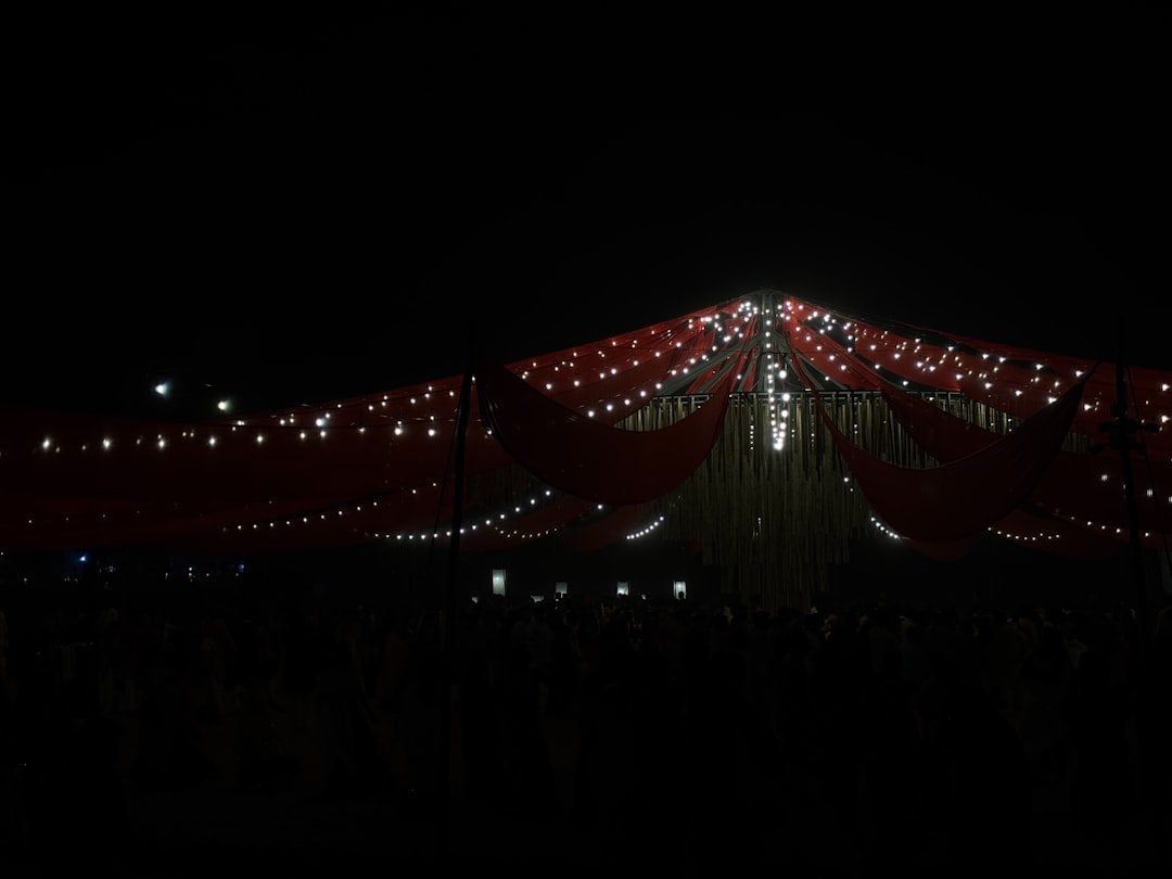 Pet Festival