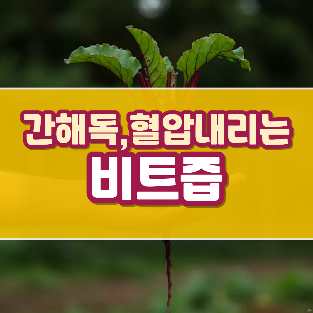 당뇨에좋은야채즙 -비트즙