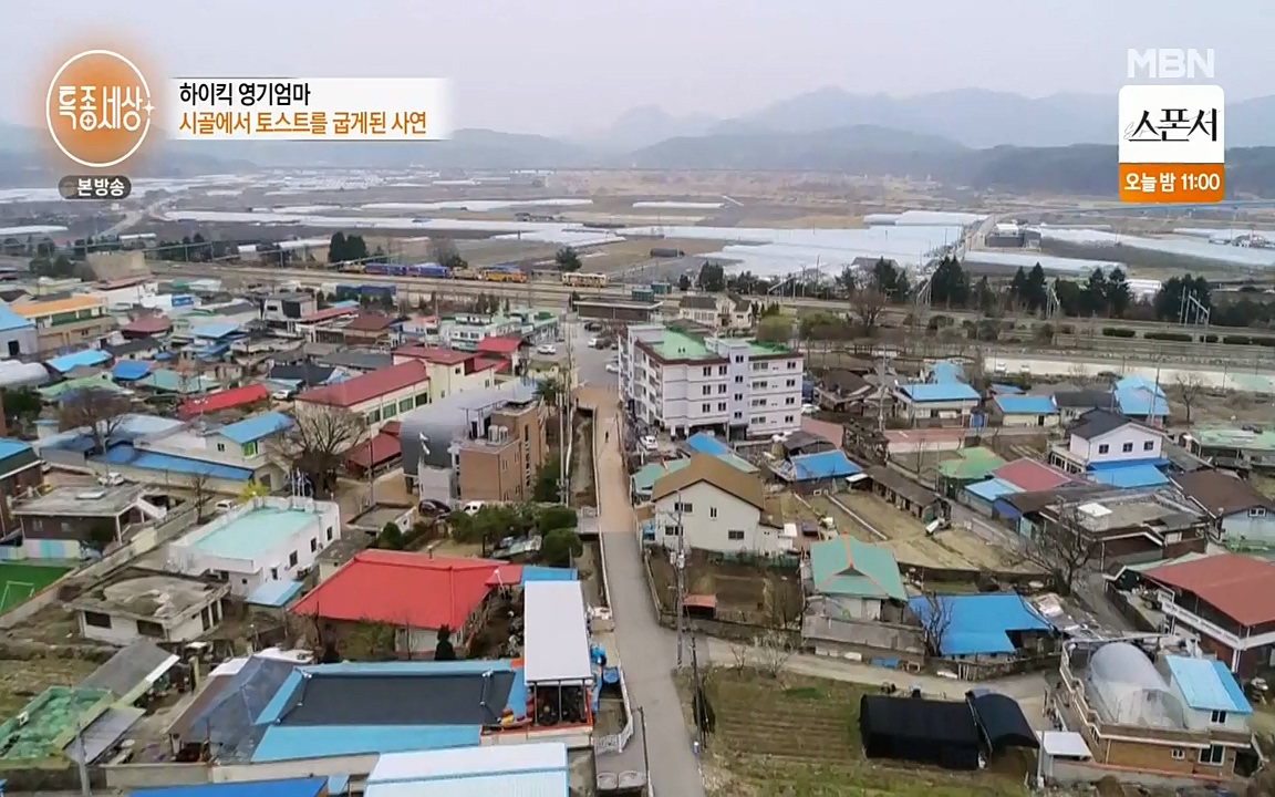 현장르포 특종세상.E524.220332p-NEXT.mp4_20220402_185255.229.jpg