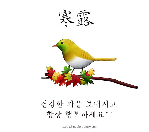 낙옆 일러스트