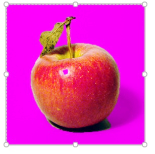 파워포인트 PPT 이미지 배경제거 투명하게 만들기