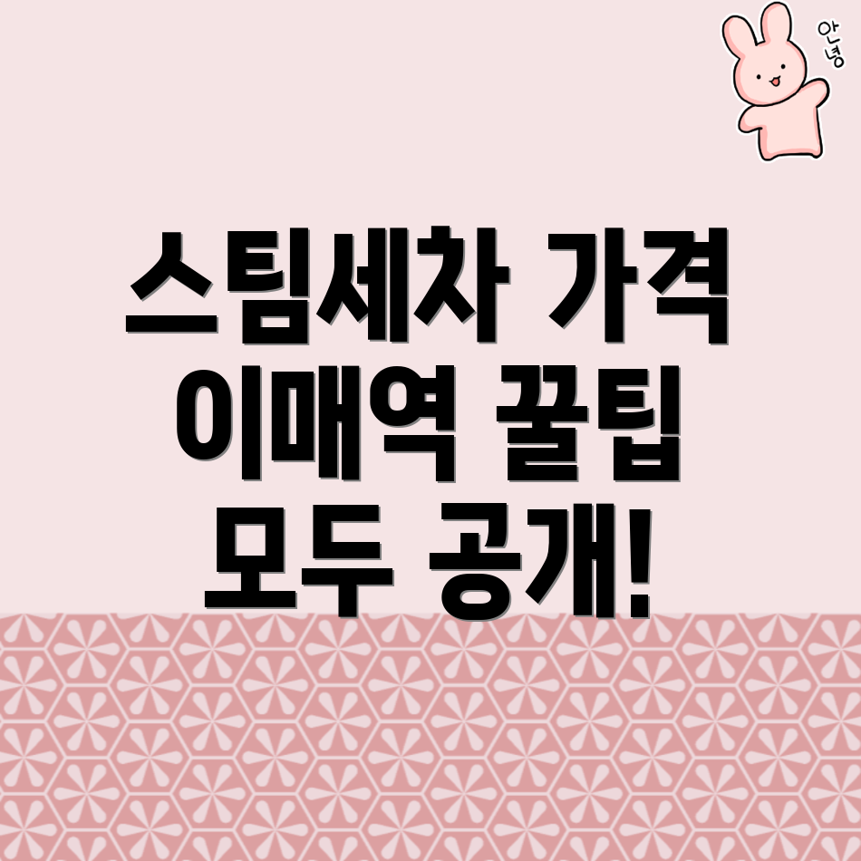 이매역 스팀세차