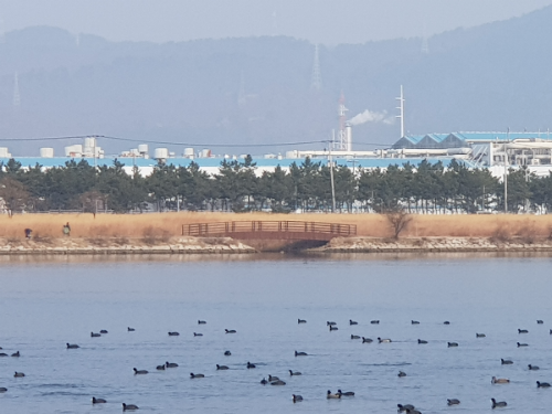 동해선광역전철부산부전역에서울산태화강역까지