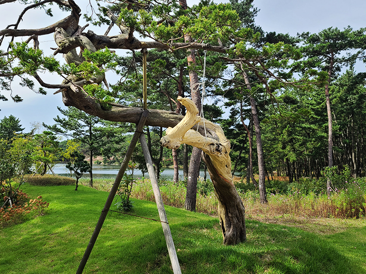 충남 걷기 좋은 숲길 국내여행 걷기 좋은 길, 51