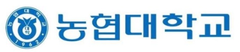 전문대학 순위