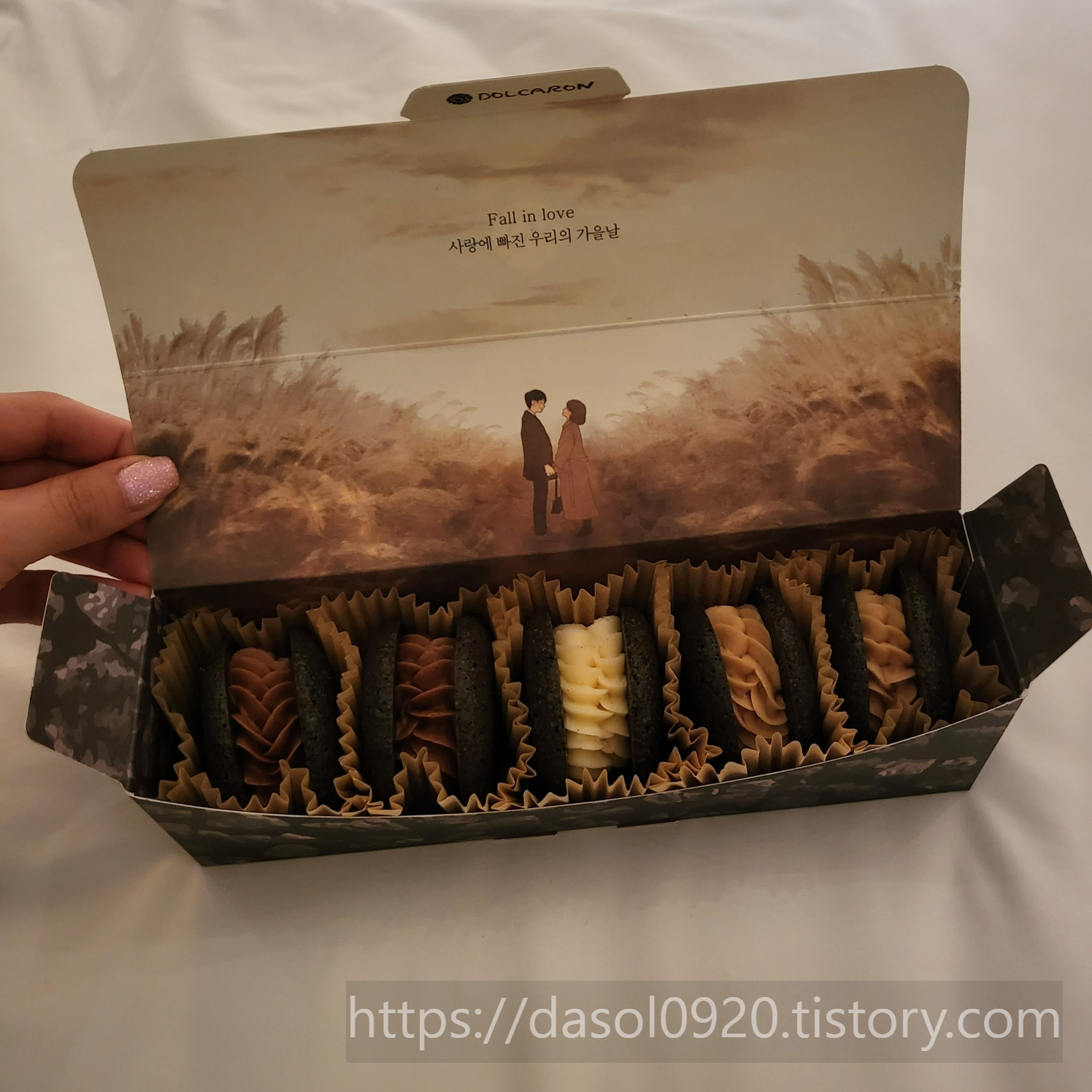 제주_디저트_맛집_돌카롱_제주공항점_억새카롱