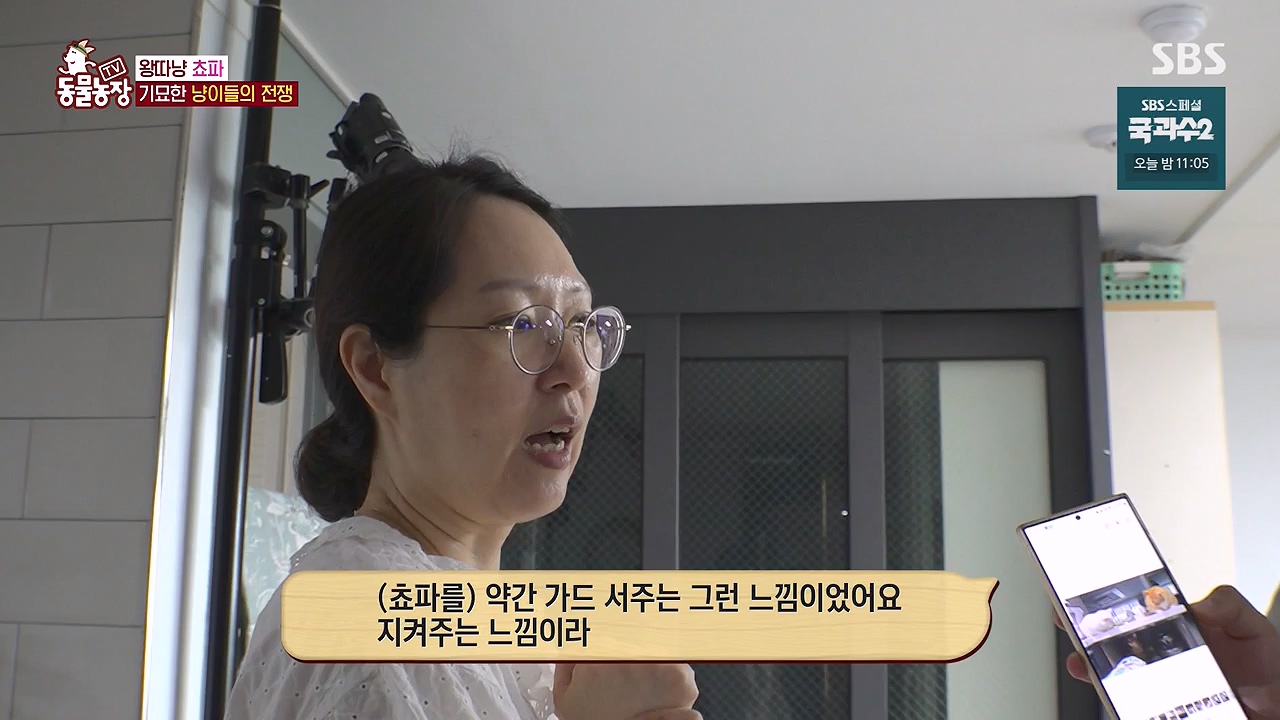 TV 동물농장.E1137.230911p-NEXT.mp4_20230910_183214.431.jpg