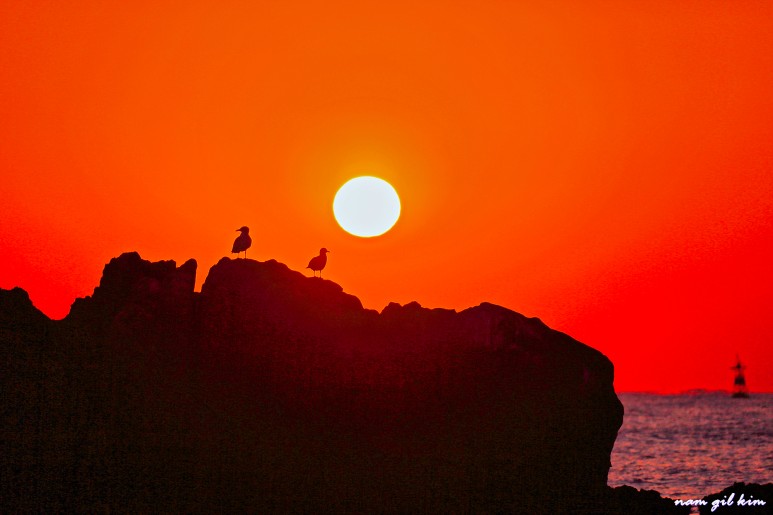 동해시 일출시간 동해안 일출명소 13