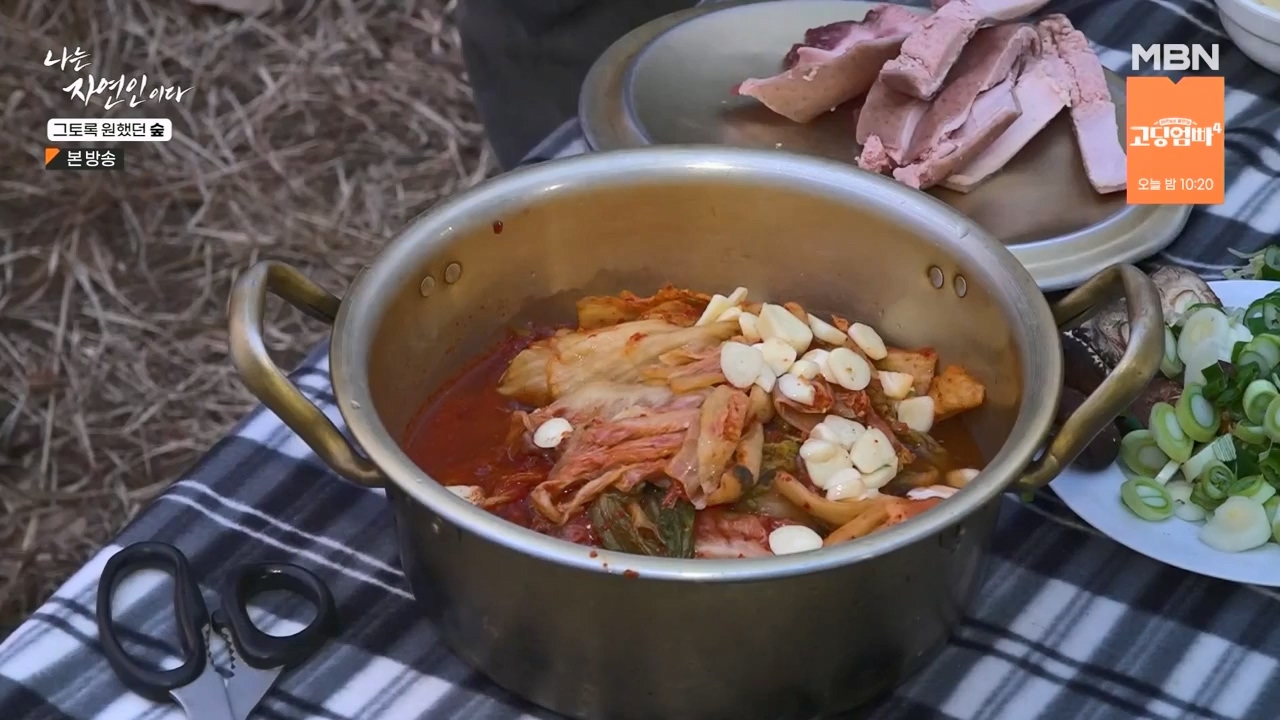 나는 자연인이다.E591.240132p-NEXT.mp4_20240201_195749.177.jpg