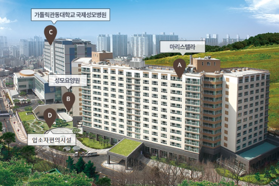마리스텔라