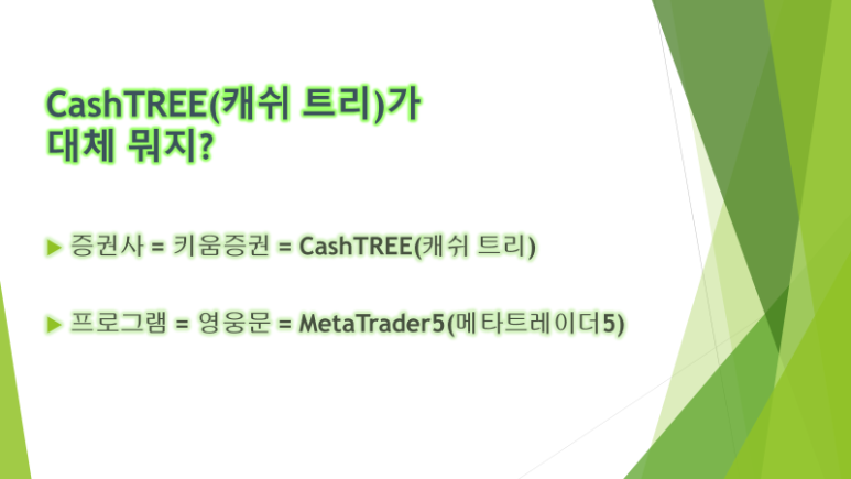 캐시트리에 대해 더 알아보기 2