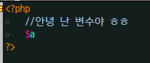  PHP 변수 선언하기