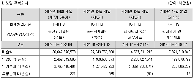 나노팀 재무정보