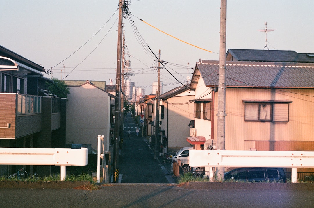 Katsuobushi