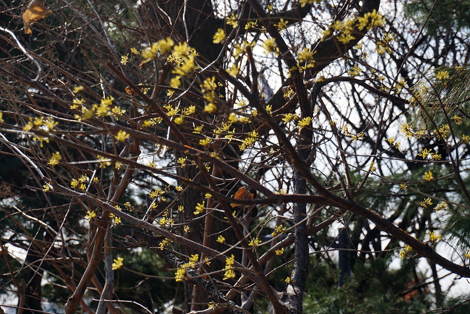 230314 동만봉 3 110