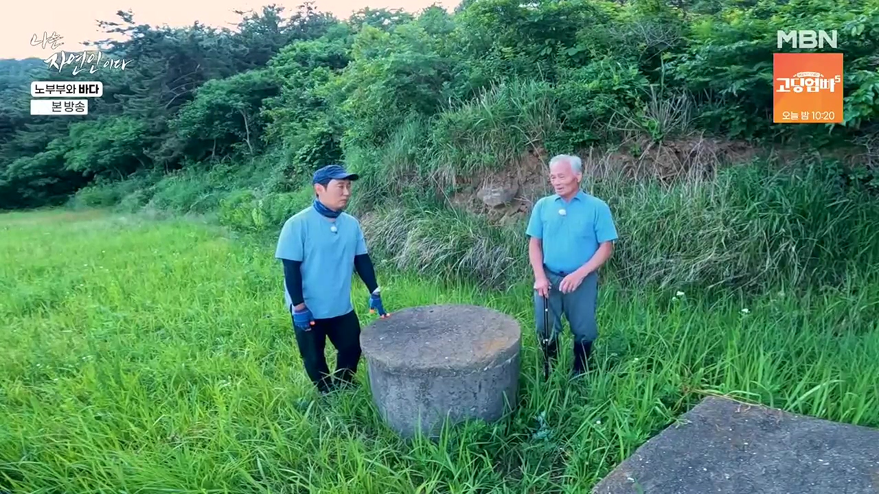 나는 자연인이다.E610.240620p-NEXT.mp4_20240620_193710.982.jpg