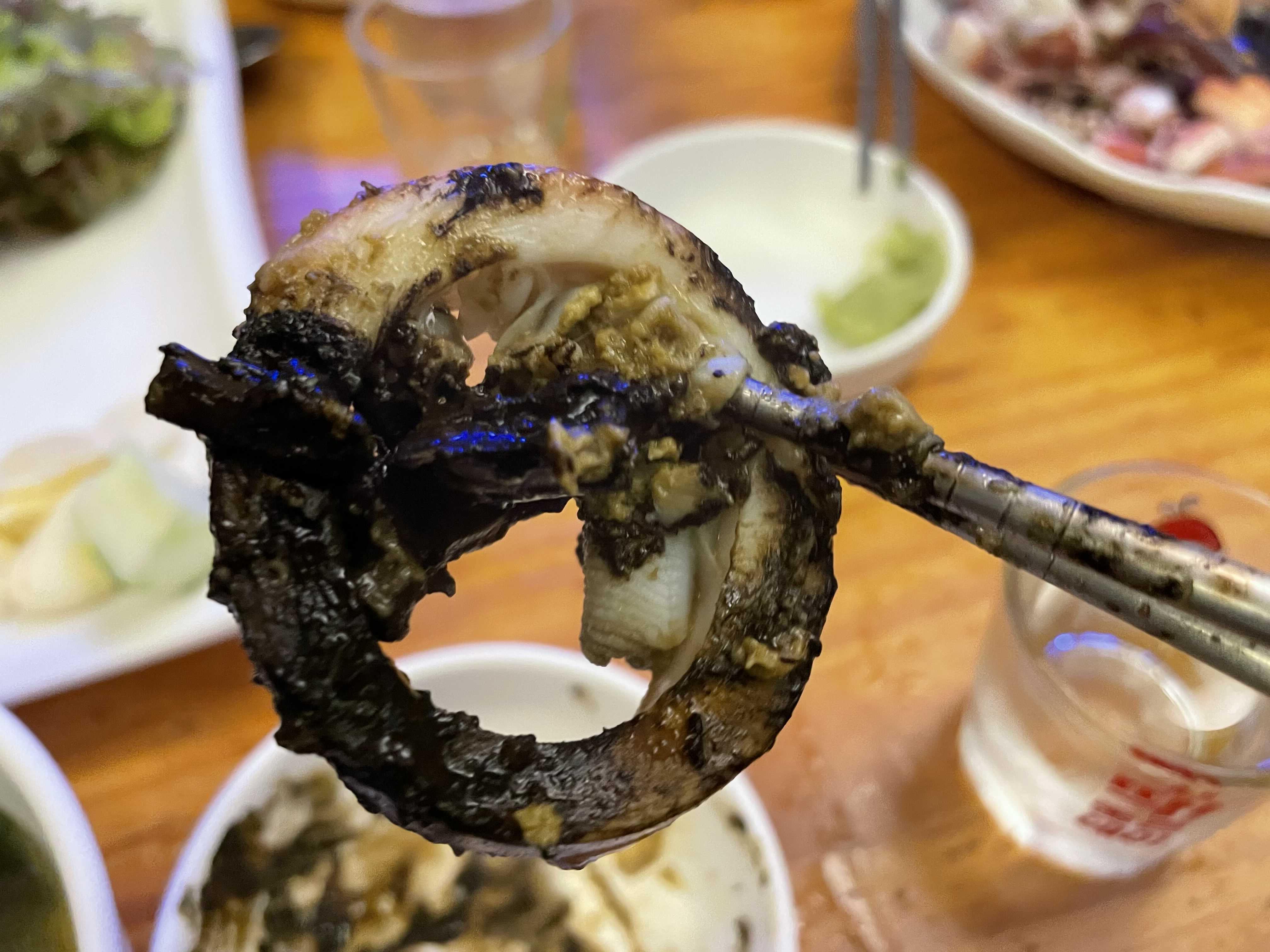 오징어세상 이미지