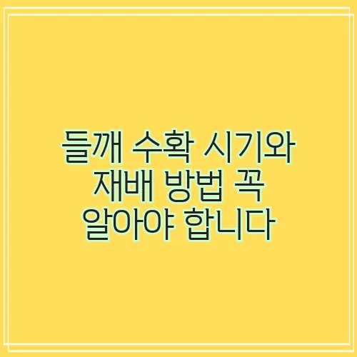 들깨 수확 시기와 재배 방법 꼭 알아야 합니다