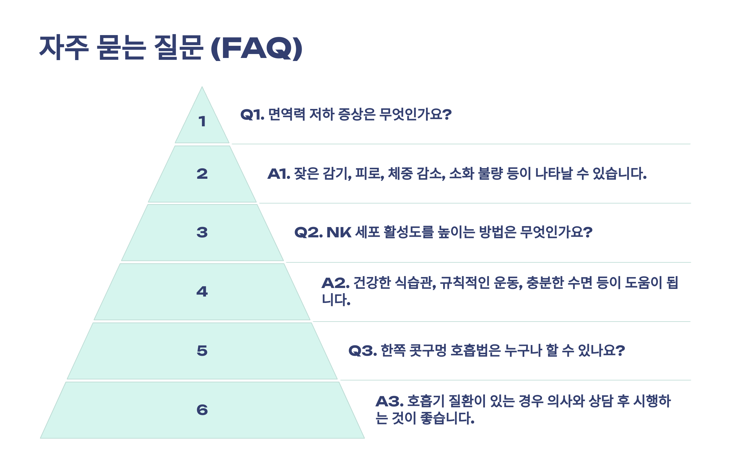 자주 묻는 질문 (FAQ)