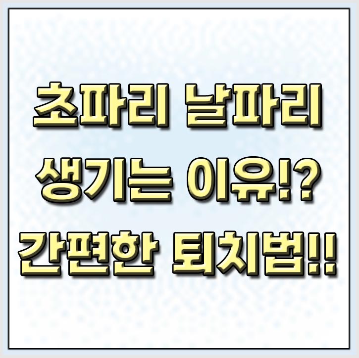  날파리 초파리 퇴치법과 생기는 이유에 대해서